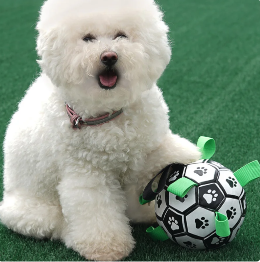 Jeu de réflexion interactif sur le football pour chiens