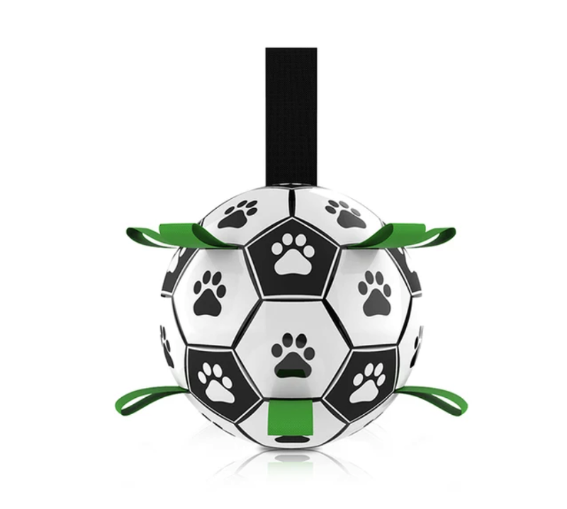 Interactive Soccer Brain Game for Dogs